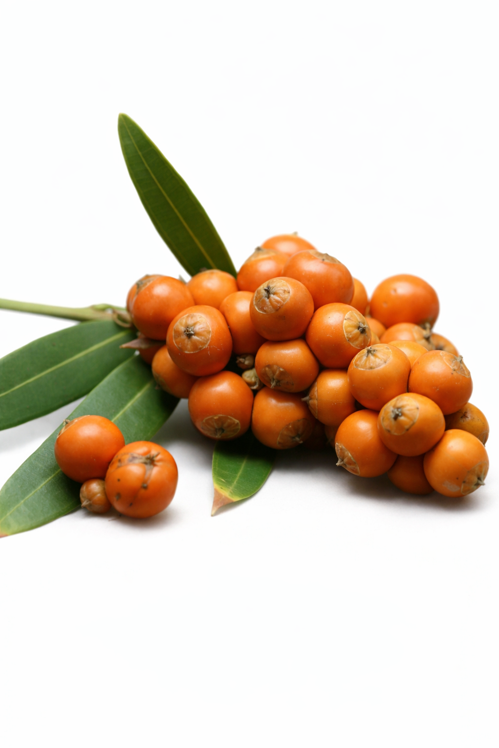 ViriFlow Ingredient