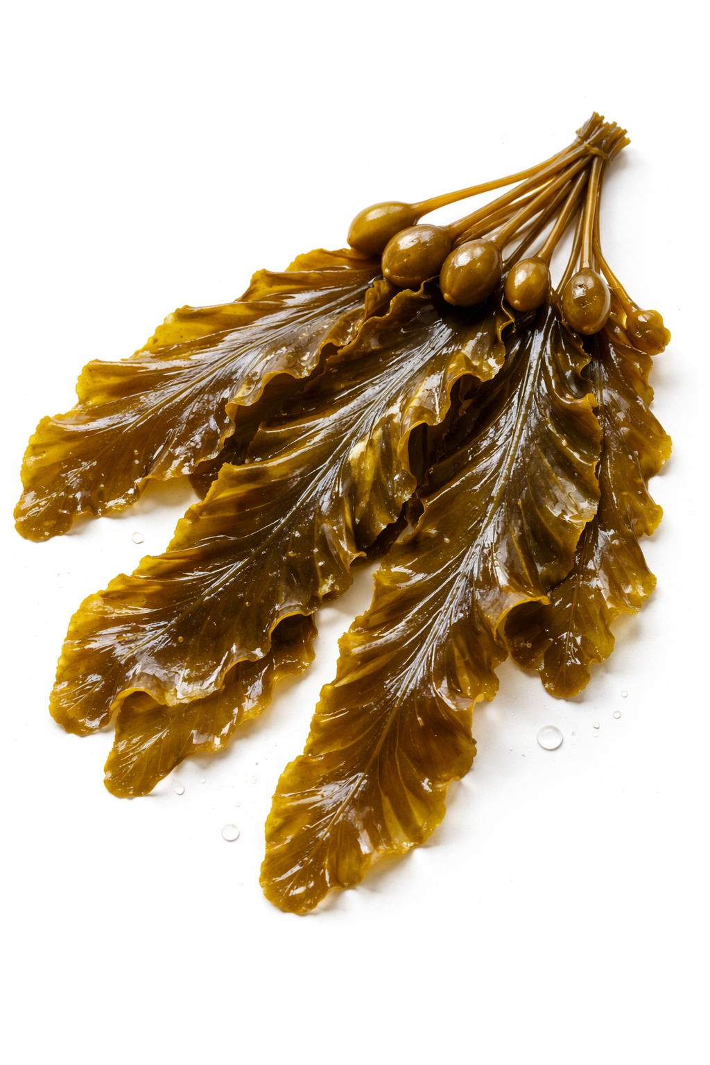 ViriFlow Ingredient