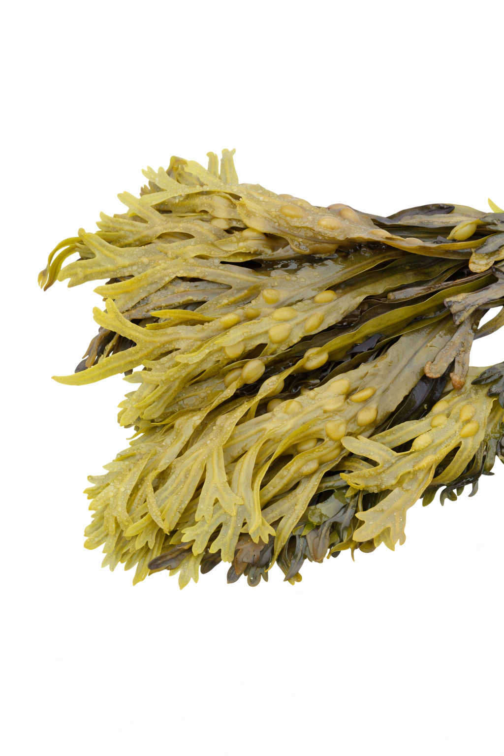 ViriFlow Ingredient